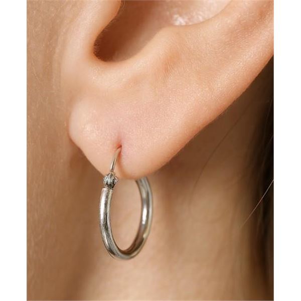 $25, SILVER SMALL HOOP EARRING, retail value $25