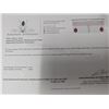 Image 4 : $1300, 10K(1.48g), RUBY (5.3ct)EARRING, appraised value $1300