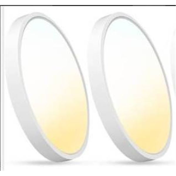 Lot of 2 –  Taloya B251 LED Ceiling Lights, 3000K-6500K, 20W, 120V