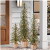 Image 1 : Alpine Trees With 230 LED Lights, Set of 3