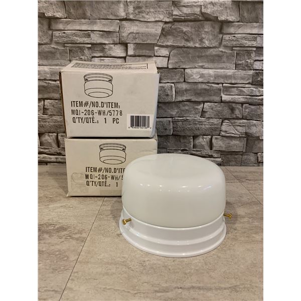 Lot of 2 Indoor Lights