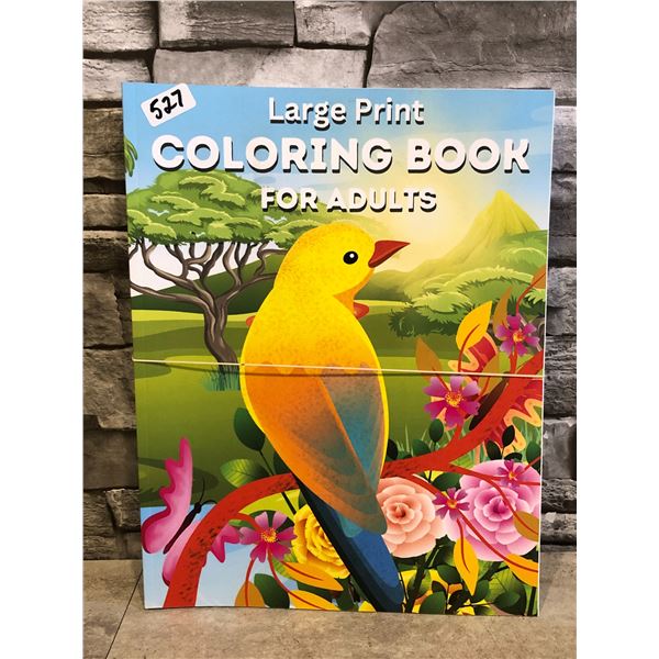 Lot of 2 Large Print Coloring Books For Adults - Great Stocking Stuffers!