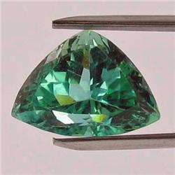 16.85ct Natural Deep Patroke Green Kunzite Trillion VVS Appraisal Estimate $1719 (GEM-18561)