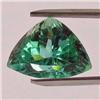 16.85ct Natural Deep Patroke Green Kunzite Trillion VVS Appraisal Estimate $1719 (GEM-18561)