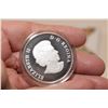 Image 3 : 2015 Canadian 1oz Fine Silver $100 Coin