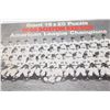 Image 2 : 1946 Boston Red Sox Baseball Puzzle