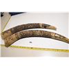 Image 1 : Carved Horns (Poor)