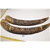 Image 2 : Carved Horns (Poor)
