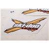 Image 2 : Ski-Doo Decals