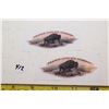 Image 1 : Prairie City Decals
