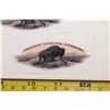 Image 2 : Prairie City Decals