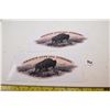 Image 1 : Prairie City Decals