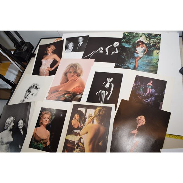 Marilyn & Other Pin Up Prints