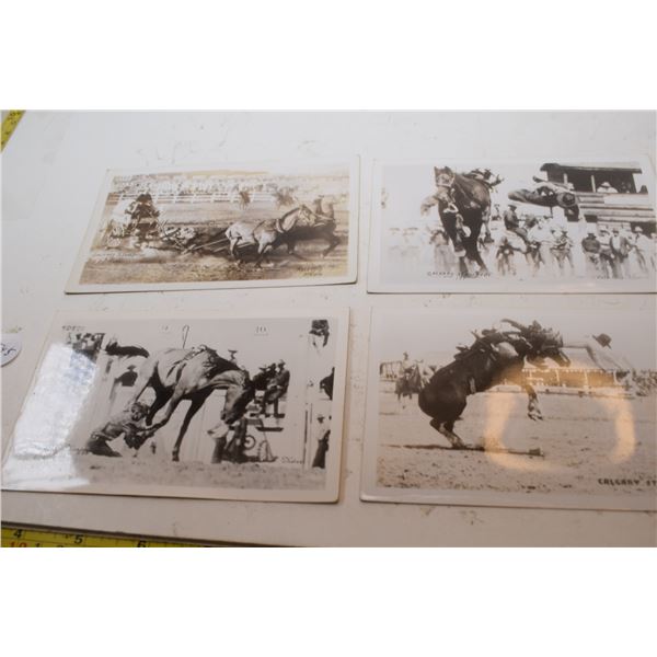 Calgary Stampede Postcards