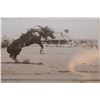 Image 2 : Calgary Stampede Postcards