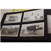 Image 3 : Incredible Postcard Album – Includes Many Indigenous Photos