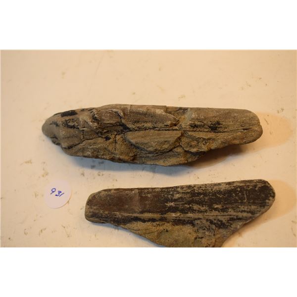 Petrified Burnt Forest Rocks