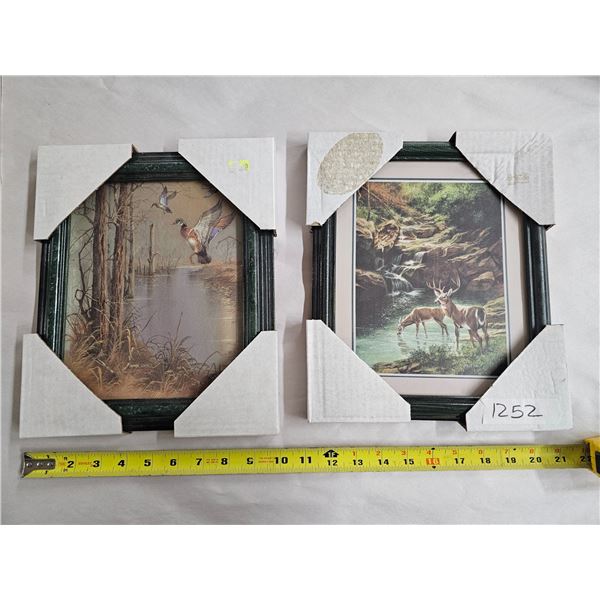 (2) Framed Wildlife Prints