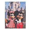 Image 7 : Seven Walt Disney World Travel Magazines.