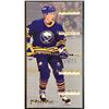 Image 1 : 1993-94 FLEER POWERPLAY DEREK PLANTE ROOKIE CARD