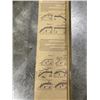 Image 4 : 5 NEW ASSORTED VEHICLE WINDOW VISOR SETS