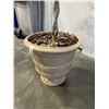 Image 3 : ARTIFICIAL TREE IN POT