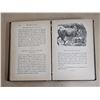 Image 4 : Antique "Aesop's Fables" Routledge book, and “A Christmas Carol And Other Stories”