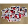 Image 3 : Detroit Red Wings Misc Lot
