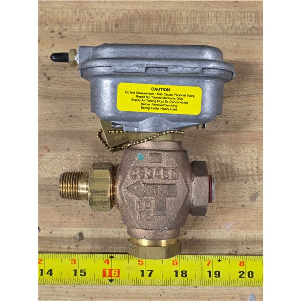 Johnson controls- 2 way globe valve