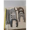 Image 2 : horse shoe game