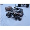 Image 1 : 2023 Arctic Cat Alterra 300- VIN: RFB23ATV6PKK6X0702