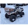 Image 2 : 2023 Arctic Cat Alterra 300- VIN: RFB23ATV6PKK6X0702