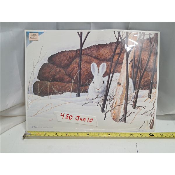 rabbit in winter picture
