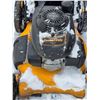 Image 2 : Pulon lawn mower- untested