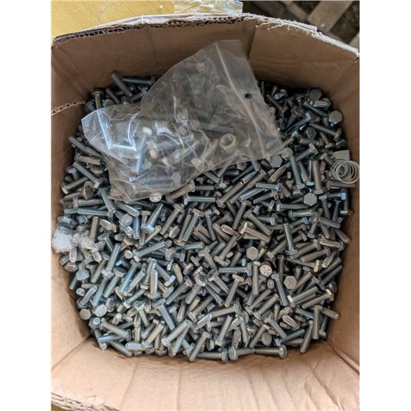 Box of 1/4" Bolts
