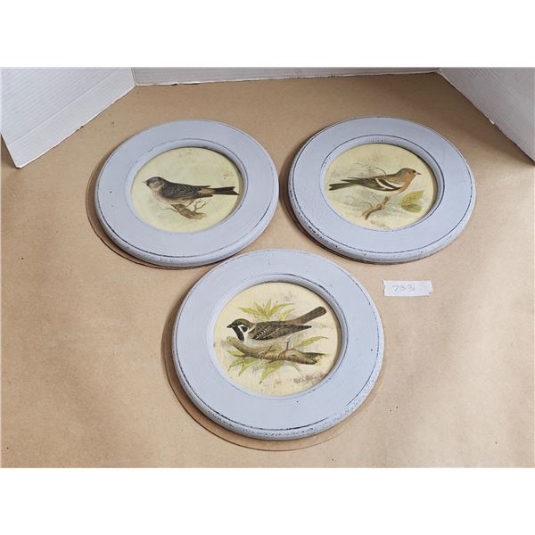 Set of (3) Round Framed Bird Prints