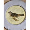 Image 3 : Set of (3) Round Framed Bird Prints