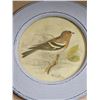 Image 4 : Set of (3) Round Framed Bird Prints