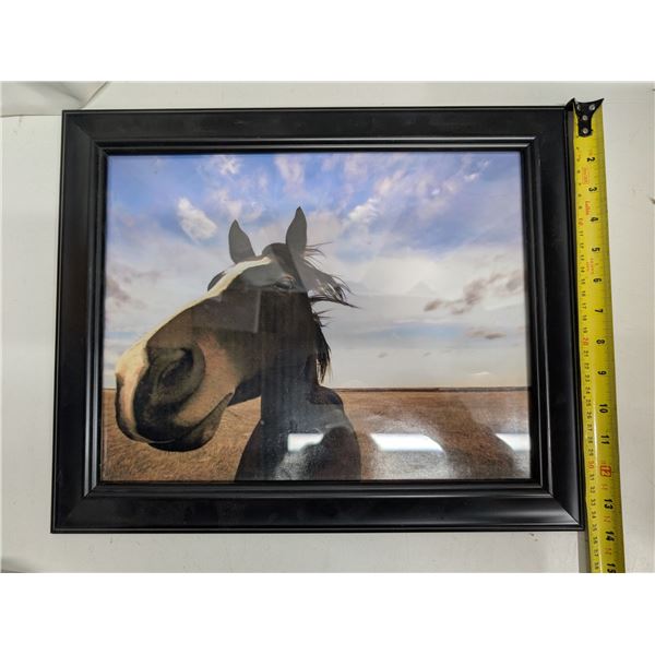 Funny Horse Picture Framed 17"x13"