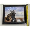 Image 1 : Funny Horse Picture Framed 17"x13"