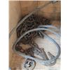 Image 2 : Ropes and chains