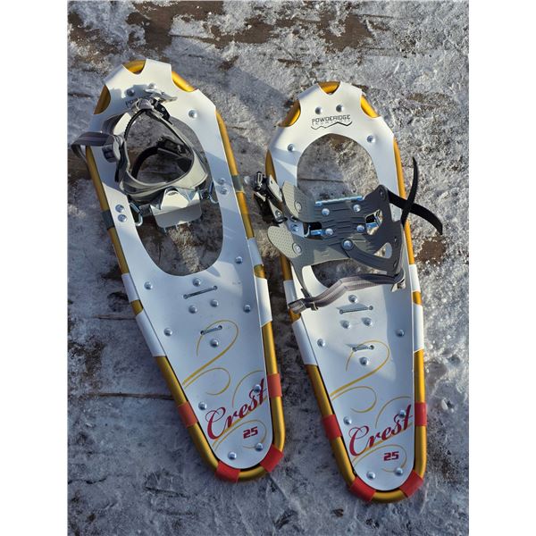 2 metal snow shoes