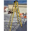 Image 1 : 7ft ladder