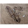 Image 3 : Pail w/ 1"-2"x Variety Length Chains