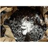 Image 2 : Box full of Phosphate Coated Nails