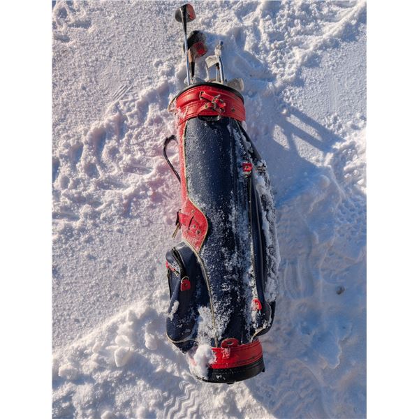 SPORTSER Golf Club Bag W/ Gold Clubs