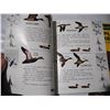 Image 8 : 1981 grouse magic signed limited edition 1387 of 1500 book + 2 other bird books