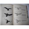 Image 11 : 1947 prairie wings hardcover book