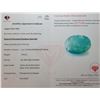 Image 4 : 3.85 ct Certified Zambian Emerald gemstone ($5,775 Appraisal)