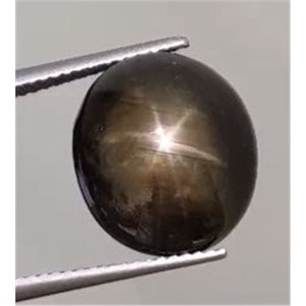 5.38 ct Certified Black Star Sapphire gemstone ($5,568 Appraisal)